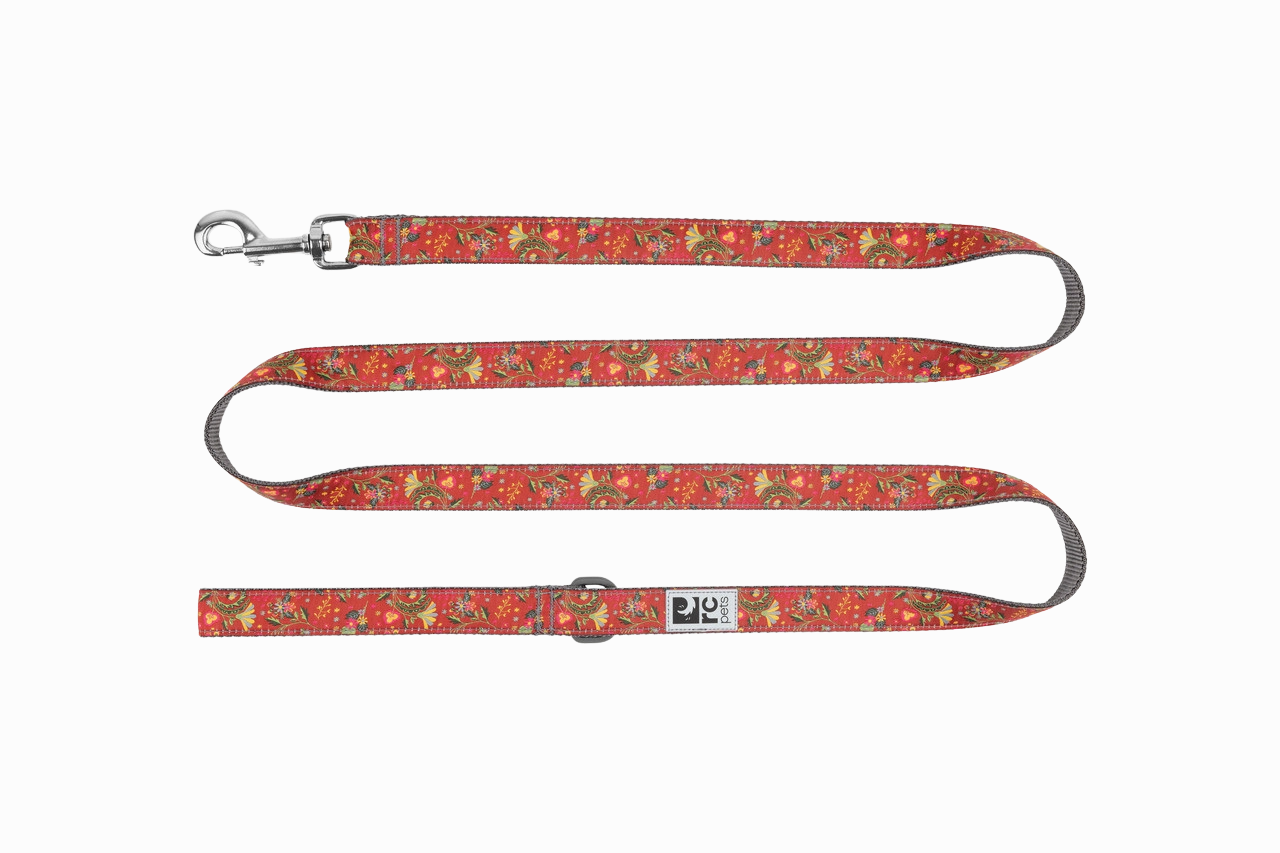RC Pets Patterned Dog Leash 1"x6' - Jurassic Pack