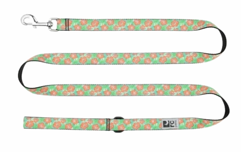 RC Pets Patterned Dog Leash 1"x6' - Mahalo