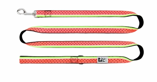 RC Pets Patterned Dog Leash 1"x6' - Watermelon