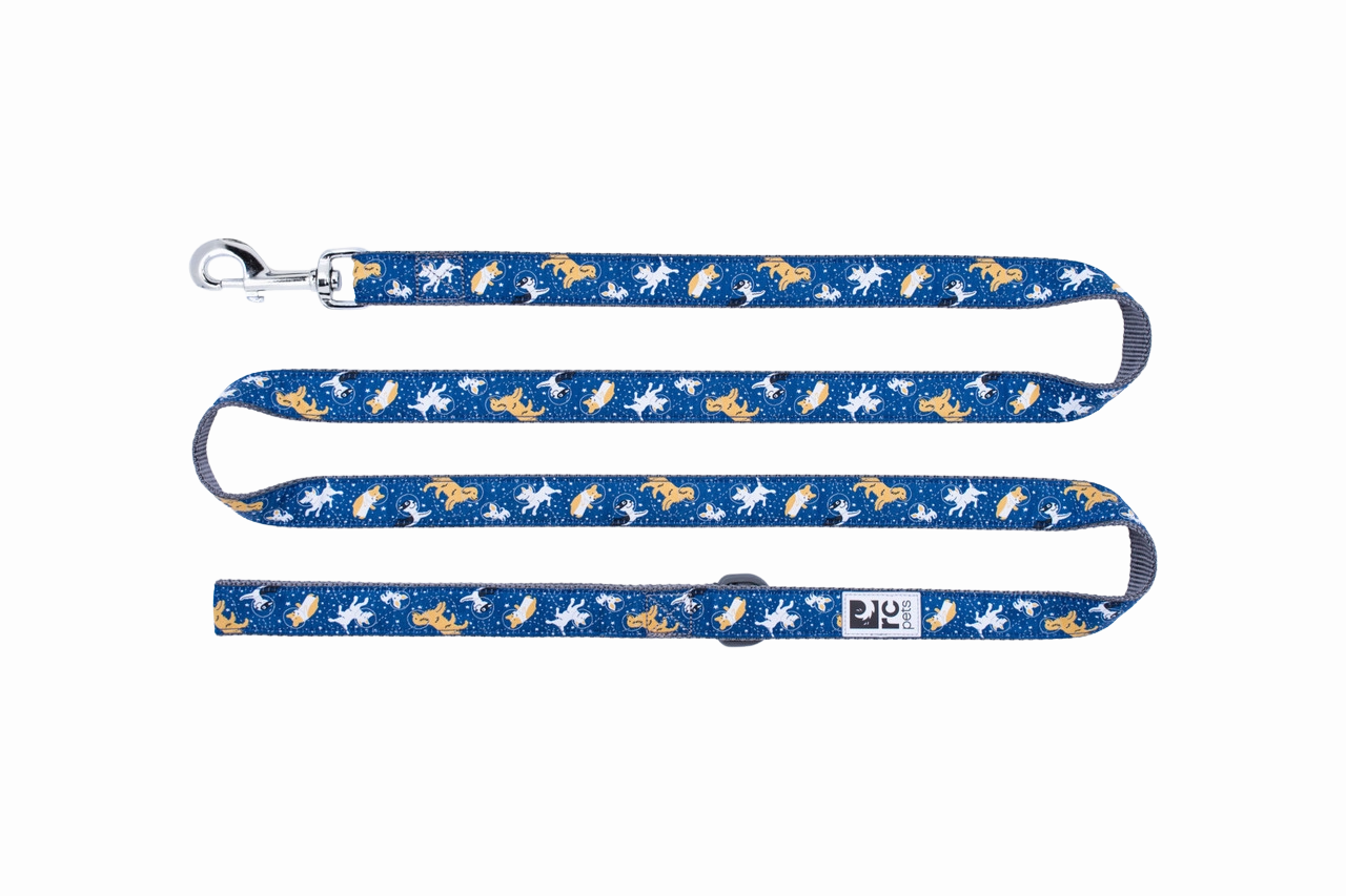RC Pets Patterned Dog Leash 3/4"x6' - Space Dogs