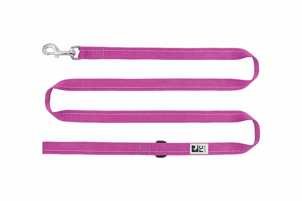 RC Pets Primary Dog Leash 1/2"x6' - Mulberry