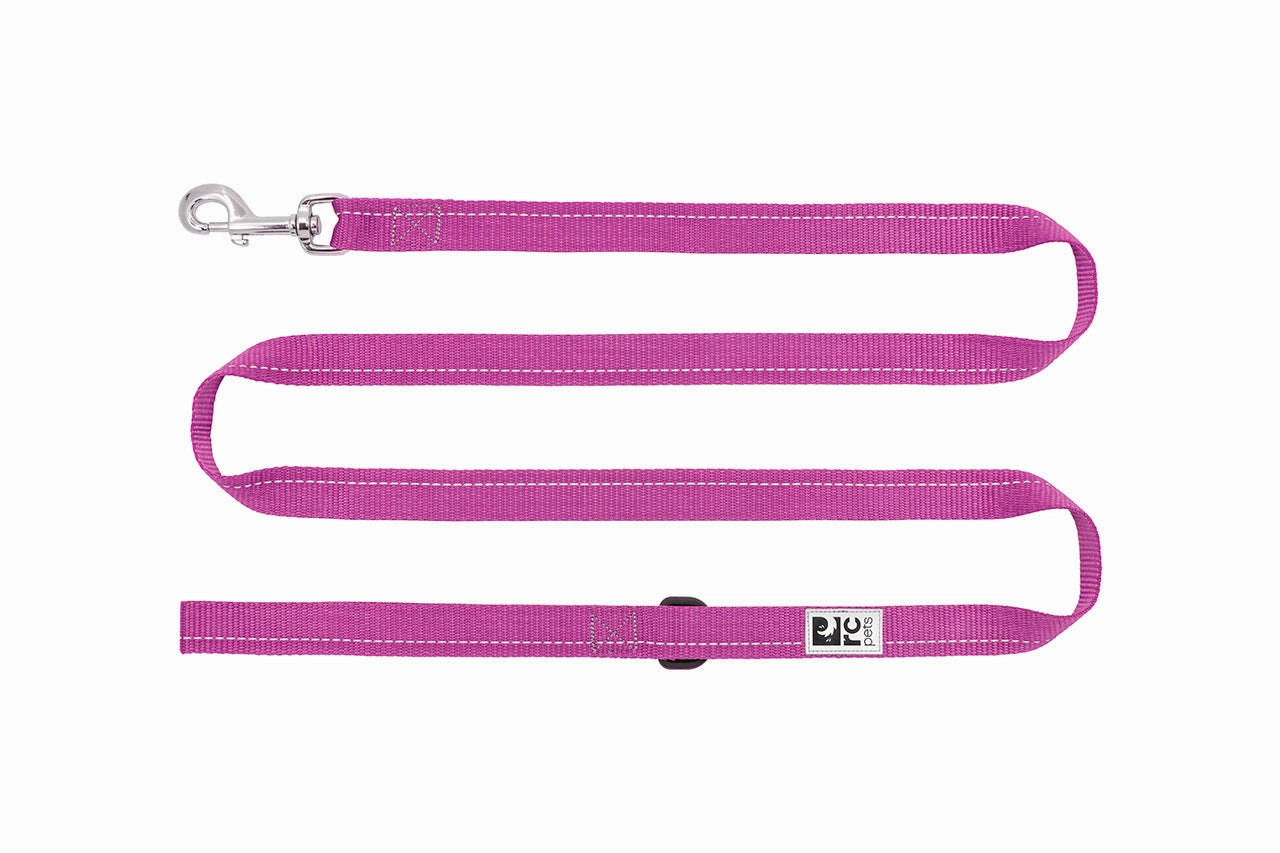 RC Pets Primary Dog Leash 1"x6' - Mulberry