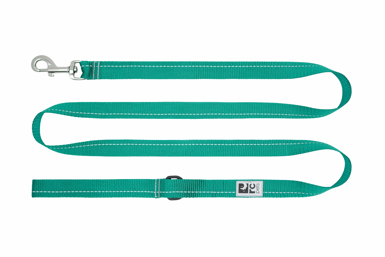 RC Pets Primary Dog Leash 3/4"x6' - Parakeet