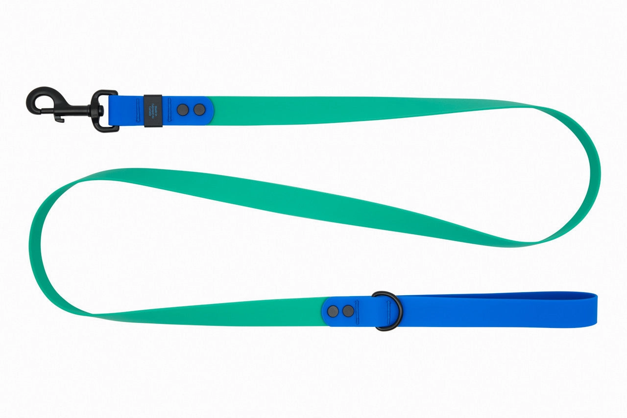 RC Pets Waterproof Dog Leash 1"x5' - Parakeet/Sapphire