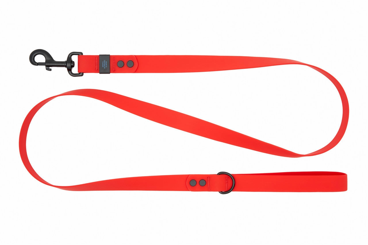 RC Pets Waterproof Dog Leash 1"x5' - Red
