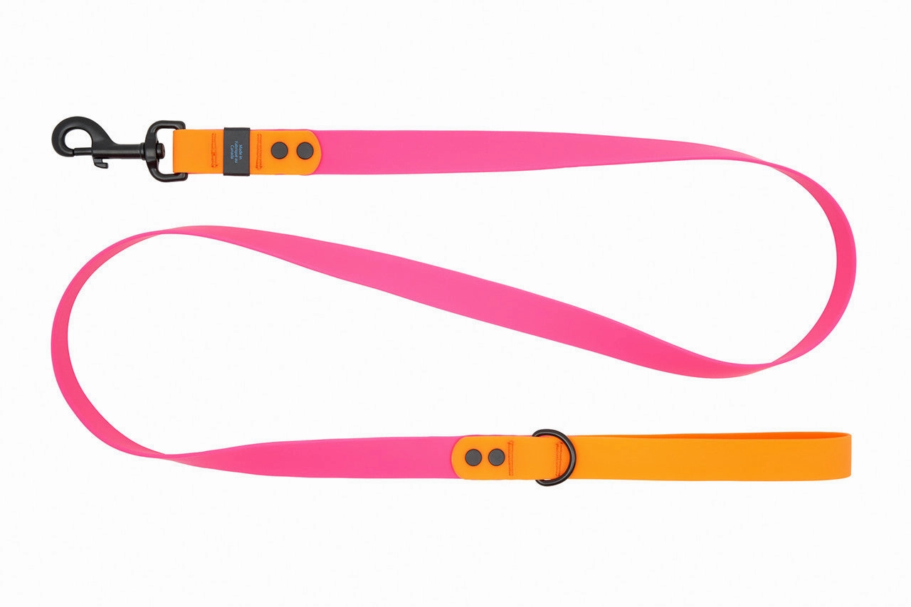 RC Pets Waterproof Dog Leash 3/4"x5' - Azalea/Orange