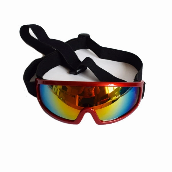 Rebel Dog Goggles