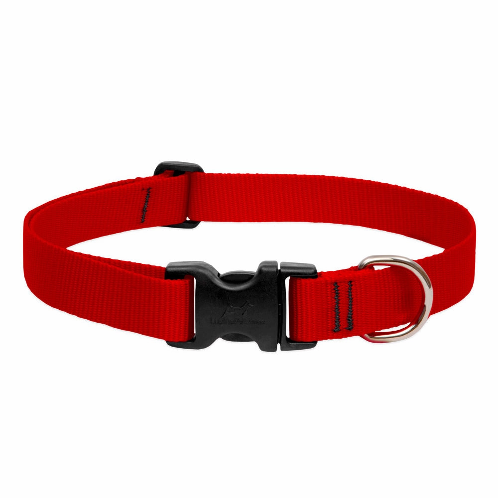 Red Collar dog harness and leash,reflective dog collar,pet walking gear