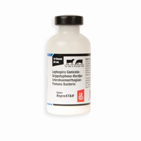 ReproSTAR L5 HB Cattle Vaccine gourmet cat wet food,chicken in broth cat,fish recipe cat food