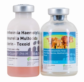RespiVax 3   PH-M Cattle Vaccine gourmet cat wet food,chicken in broth cat,fish recipe cat food