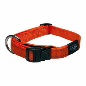 ROGZ UTILITY REFLECTIVE STITCHING COLLAR - L-ORANGE dog harness and leash,reflective dog collar,pet walking gear