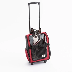 Roll Around Travel Dog Carrier Backpack in Red treat storage jar,dog treat container,pet snack jar