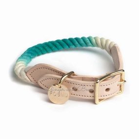 Rope and Leather Collar, Teal dog collar,leather dog collar,adjustable dog collar