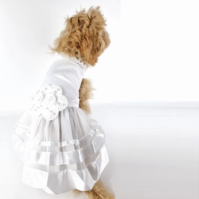 Rosetta Wedding Dog Dress english tack set,horse saddle gear,equestrian supplies