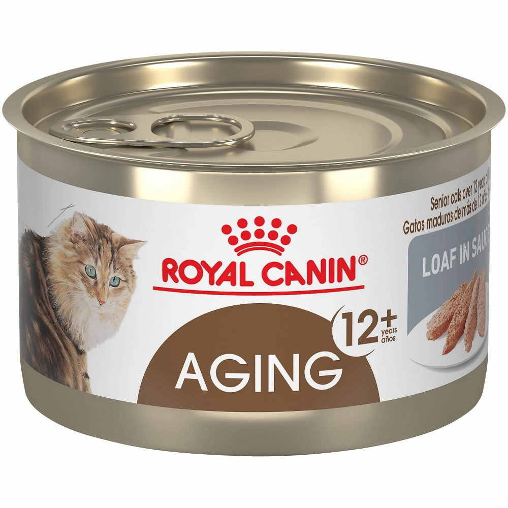 Royal Canin Feline Health Nutrition Aging 12  Loaf In Sauce Canned Cat Food cat supplies,cat essentials,cat accessories