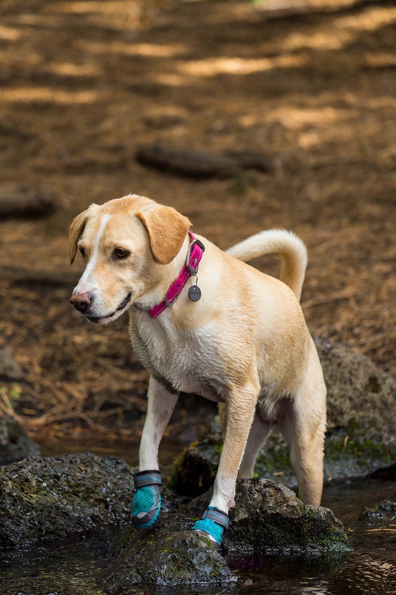 Ruffwear Dog boots: Grip Trex PAIR