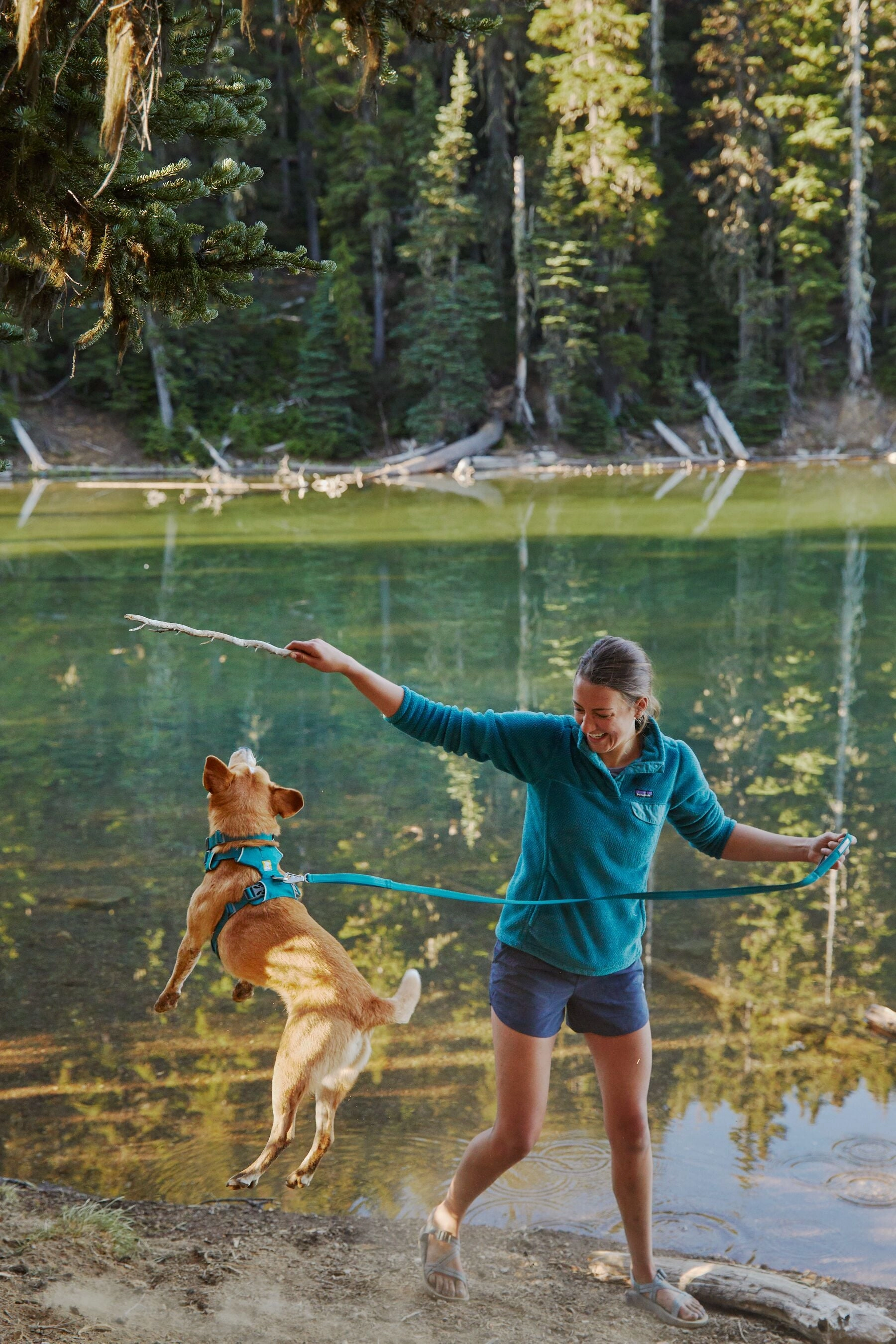 Ruffwear Dog Harness No-Pull: Front Range