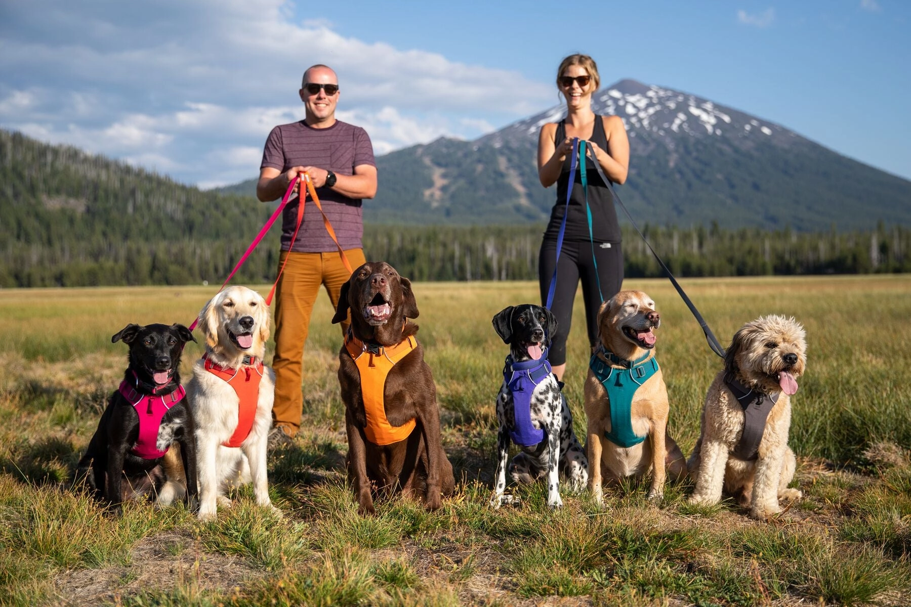 Ruffwear Dog Harness No-Pull: Front Range