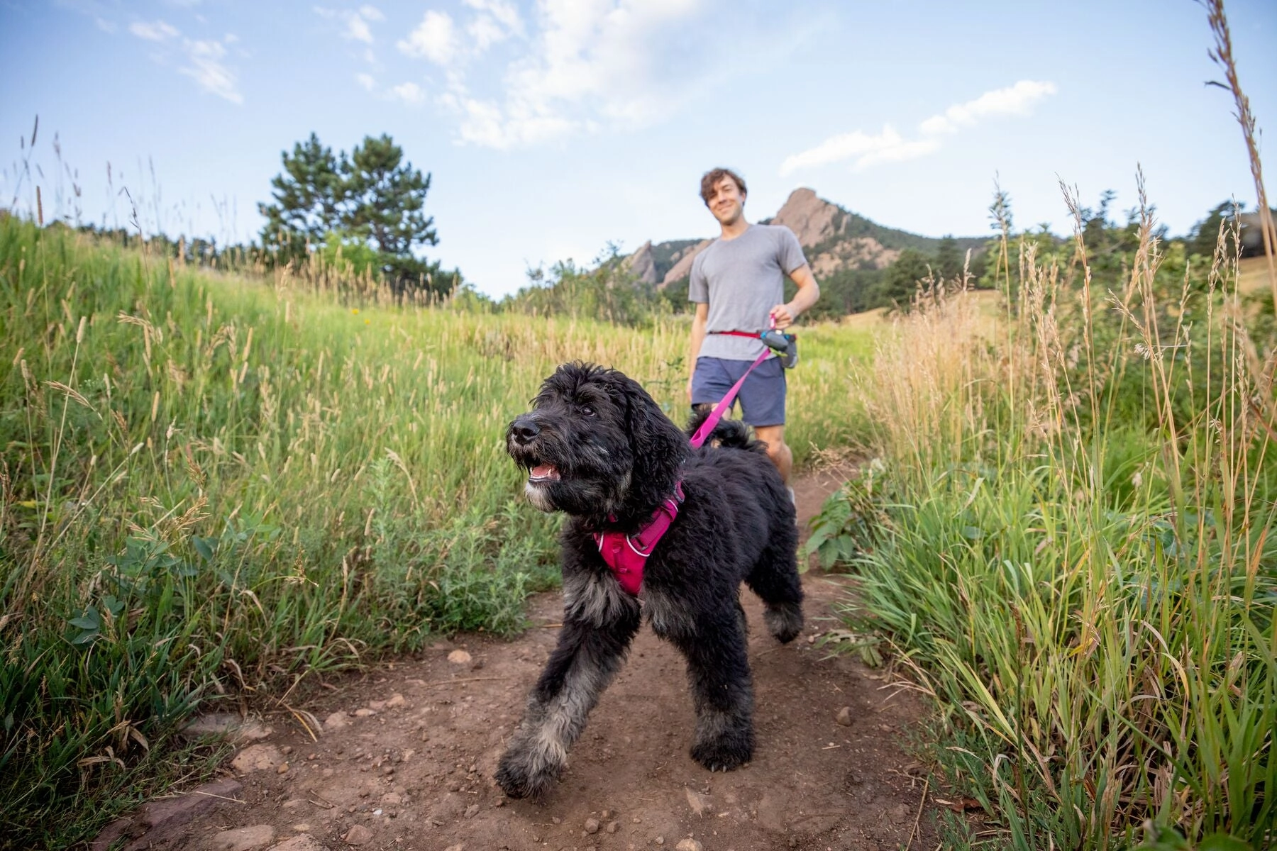 Ruffwear Dog Harness No-Pull: Front Range