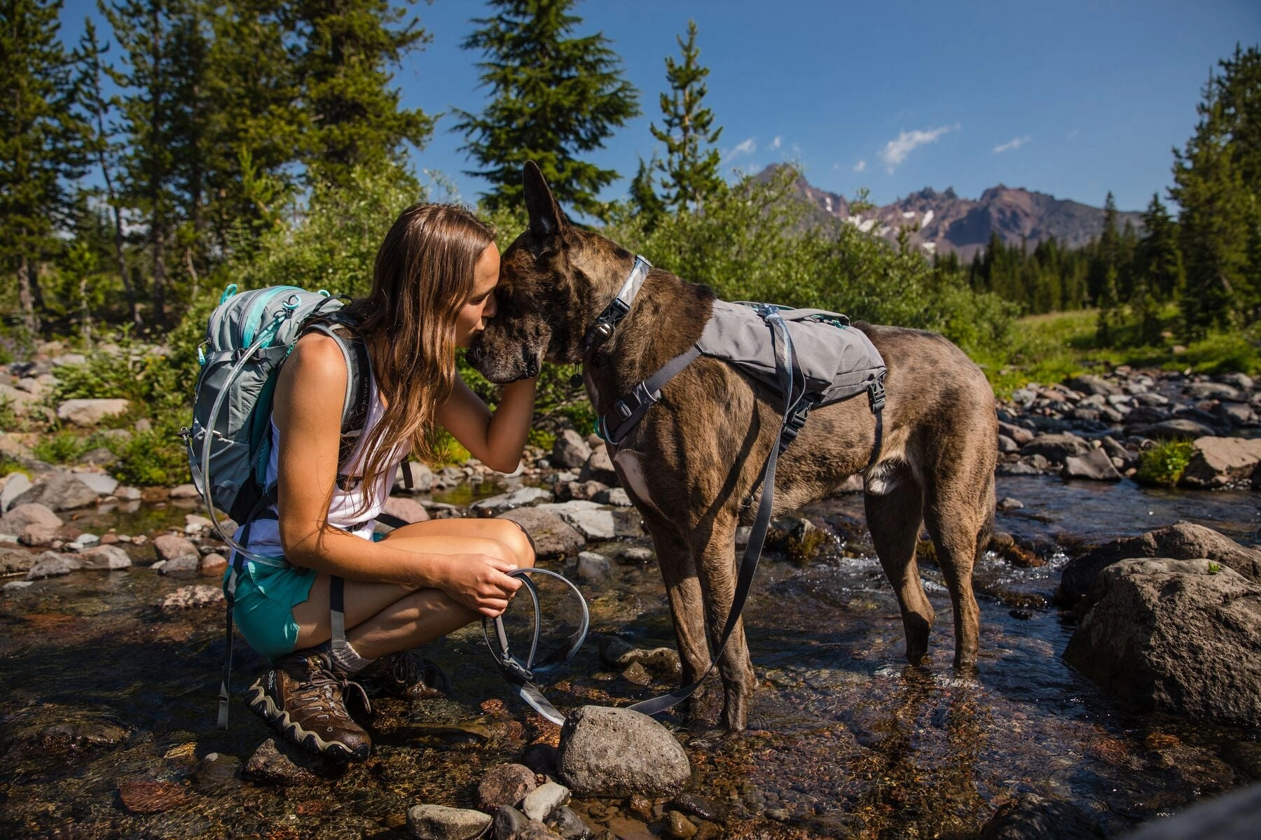 Ruffwear Dog Harness: Switchbak