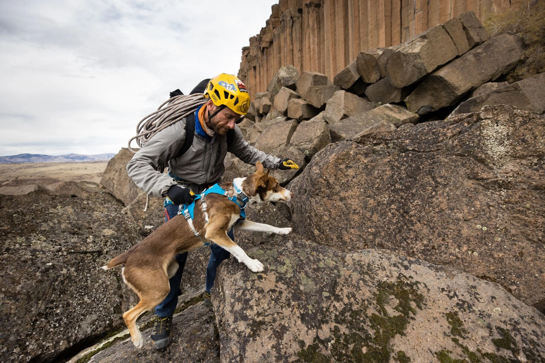 Ruffwear Dog Harness With Handle: Flagline