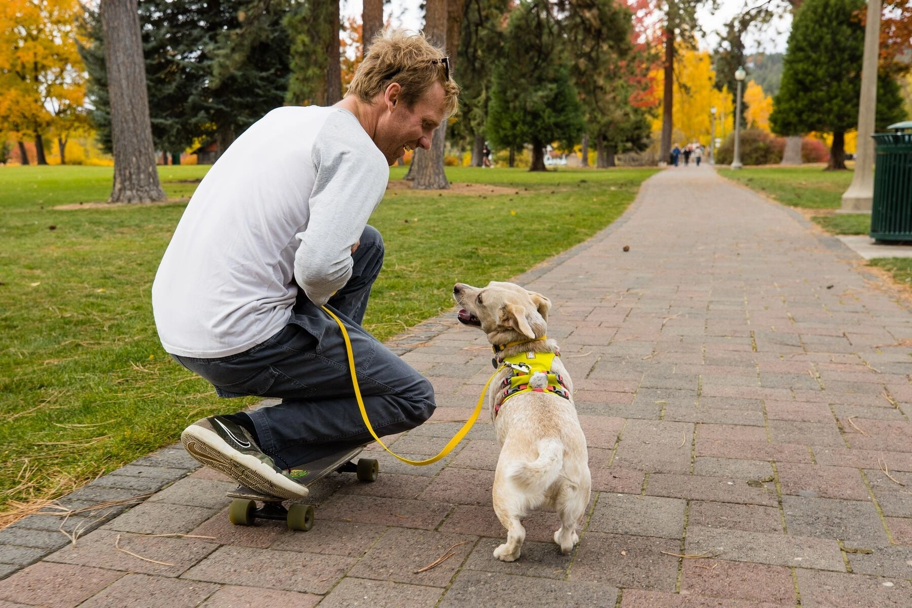Ruffwear Dog Harness With Handle: Flagline