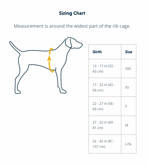 Ruffwear Dog Harness With Handle: Flagline