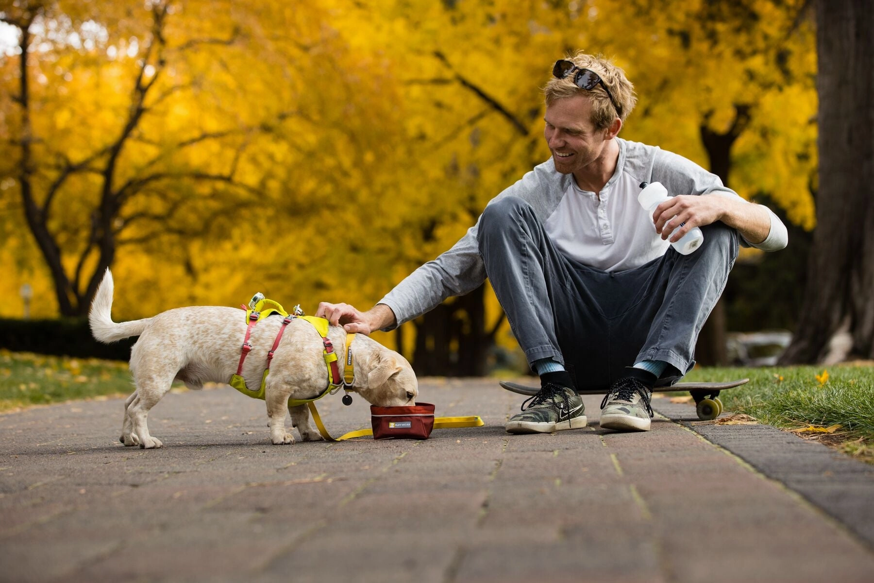 Ruffwear Dog Harness With Handle: Flagline