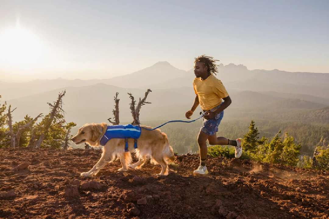Ruffwear Dog Running Vest, Trail Runner