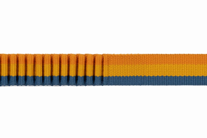 Ruffwear Roamer Bungee Dog Leash