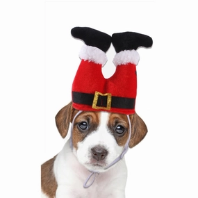 Santa Legs Dog Headpiece english tack set,horse saddle gear,equestrian supplies