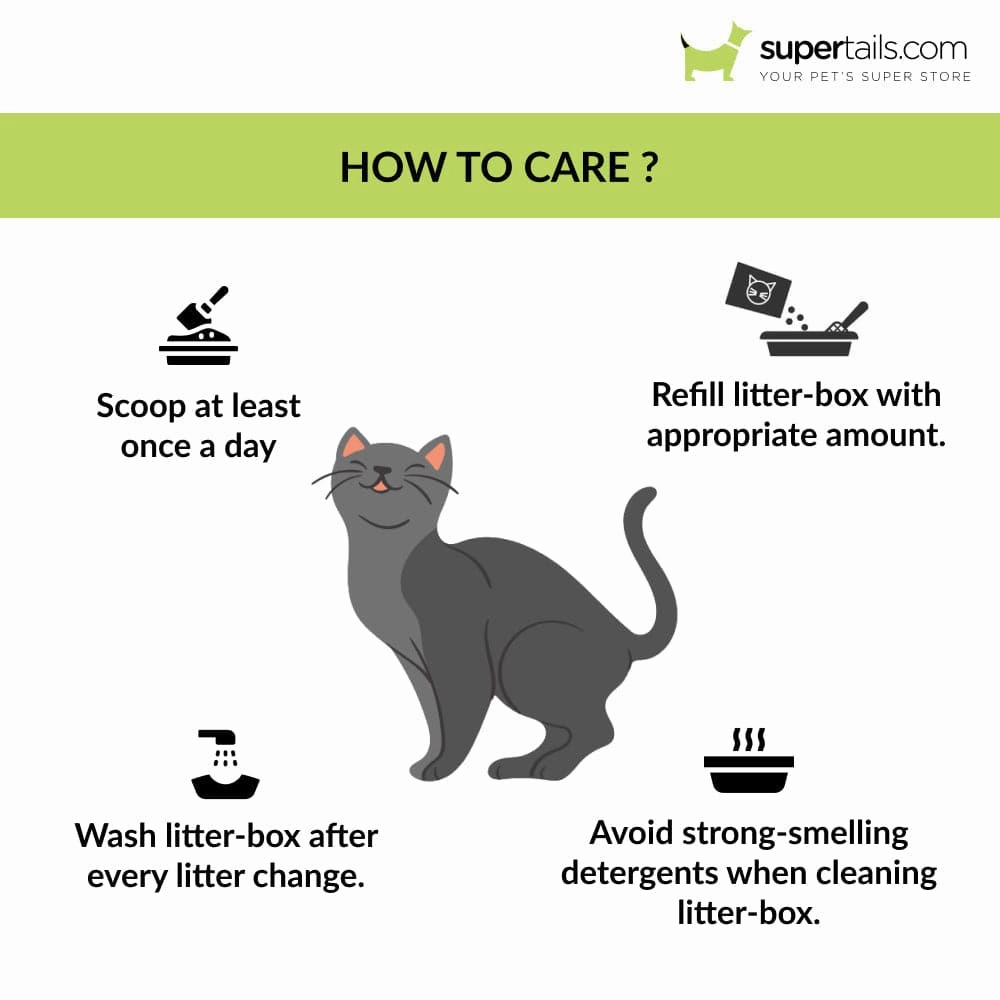 Savic Gizmo Litter Tray with Rim for Cats (Mocha)