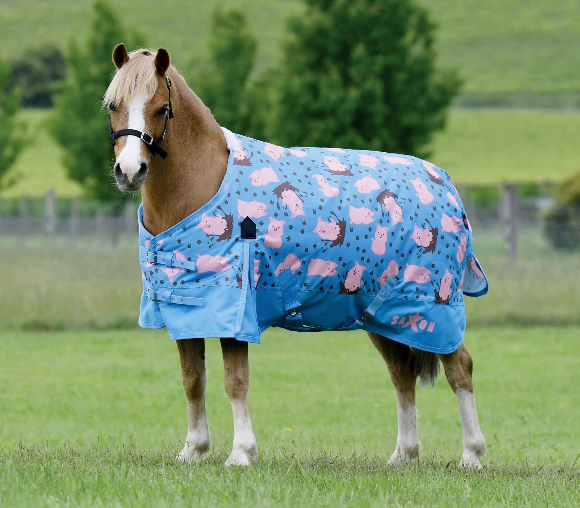 Saxon 600D Pony Standard Neck, Medium, Pig Print horse blanket,poultry bed sheet,equine sheets