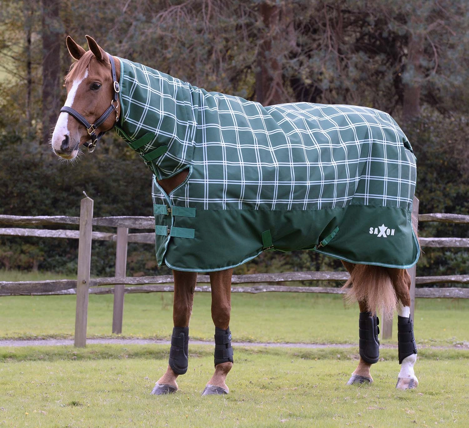 Saxon Defiant 1200D Combo Neck Medium Weight Horse Turnout, Hunter Green Plaid horse blanket,poultry bed sheet,equine sheets