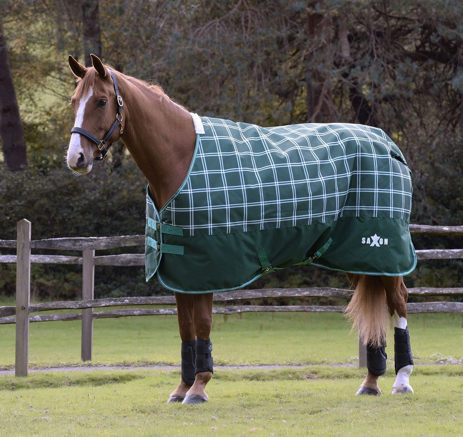 Saxon Defiant 1200D Standard Neck Horse Turnout, Medium, Hunter Green Plaid horse blanket,poultry bed sheet,equine sheets
