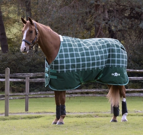 Saxon Defiant 1200D Standard Neck Horse Turnout, Medium, Hunter Green Plaid horse blanket,poultry bed sheet,equine sheets