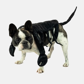 Scorpion Dog Costume english tack set,horse saddle gear,equestrian supplies