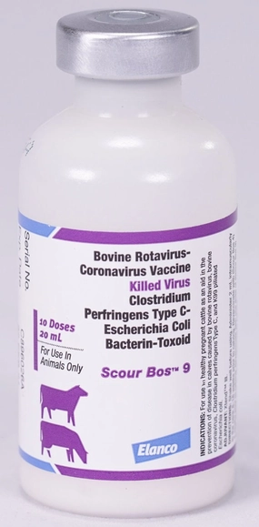 Scour Bos 9 Cattle Vaccine gourmet cat wet food,chicken in broth cat,fish recipe cat food