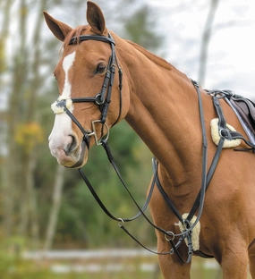 Shires Five Point Breastplate ear cleaner dog,dog eye drops,pet ear wipes