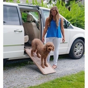 Short Bi-Fold Pet Ramp Carpeted treat storage jar,dog treat container,pet snack jar