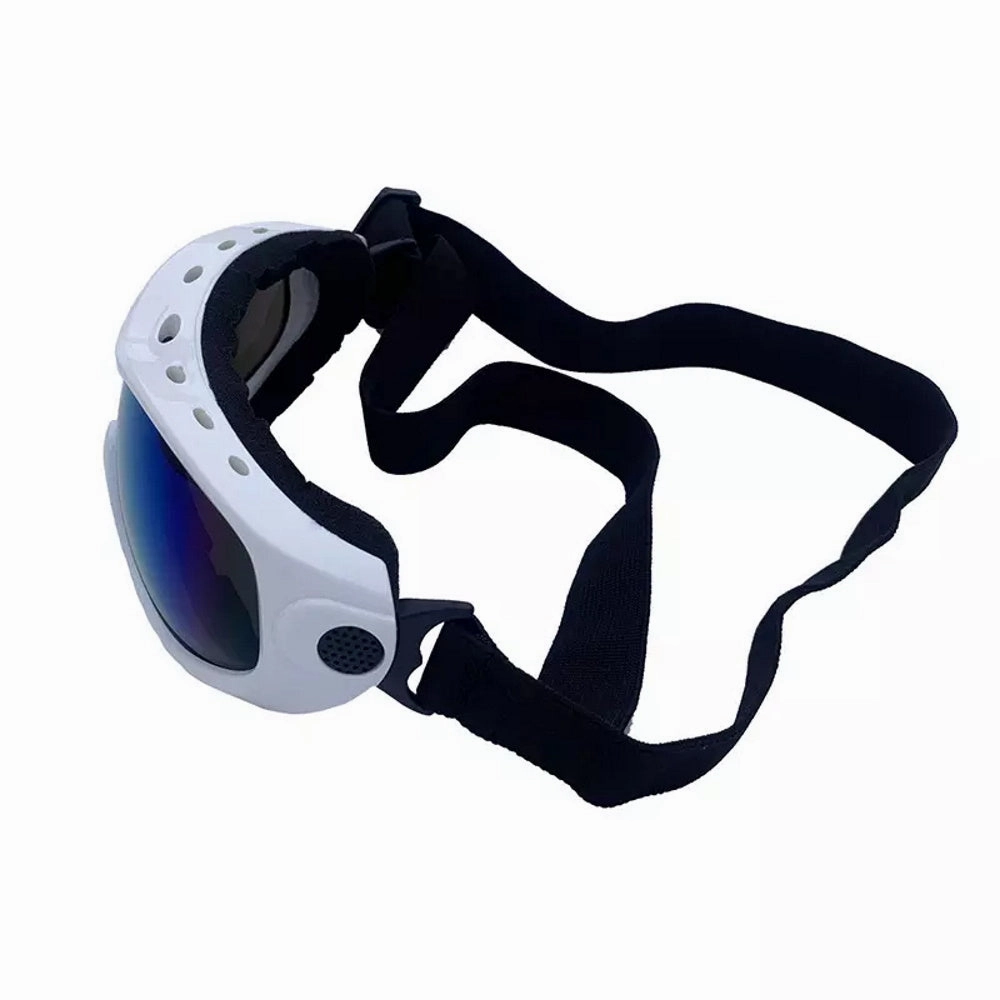Ski Dog Goggles