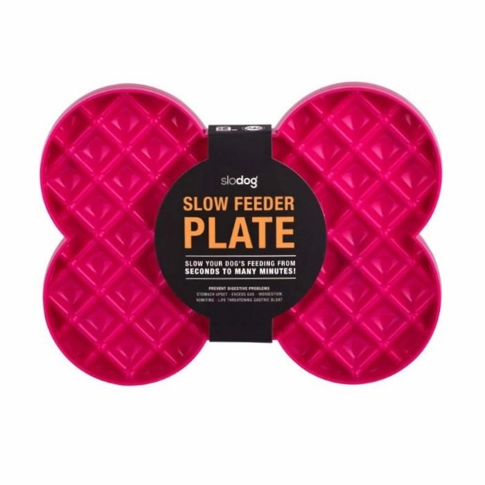 Slodog Slow Feeding Dog Bowl