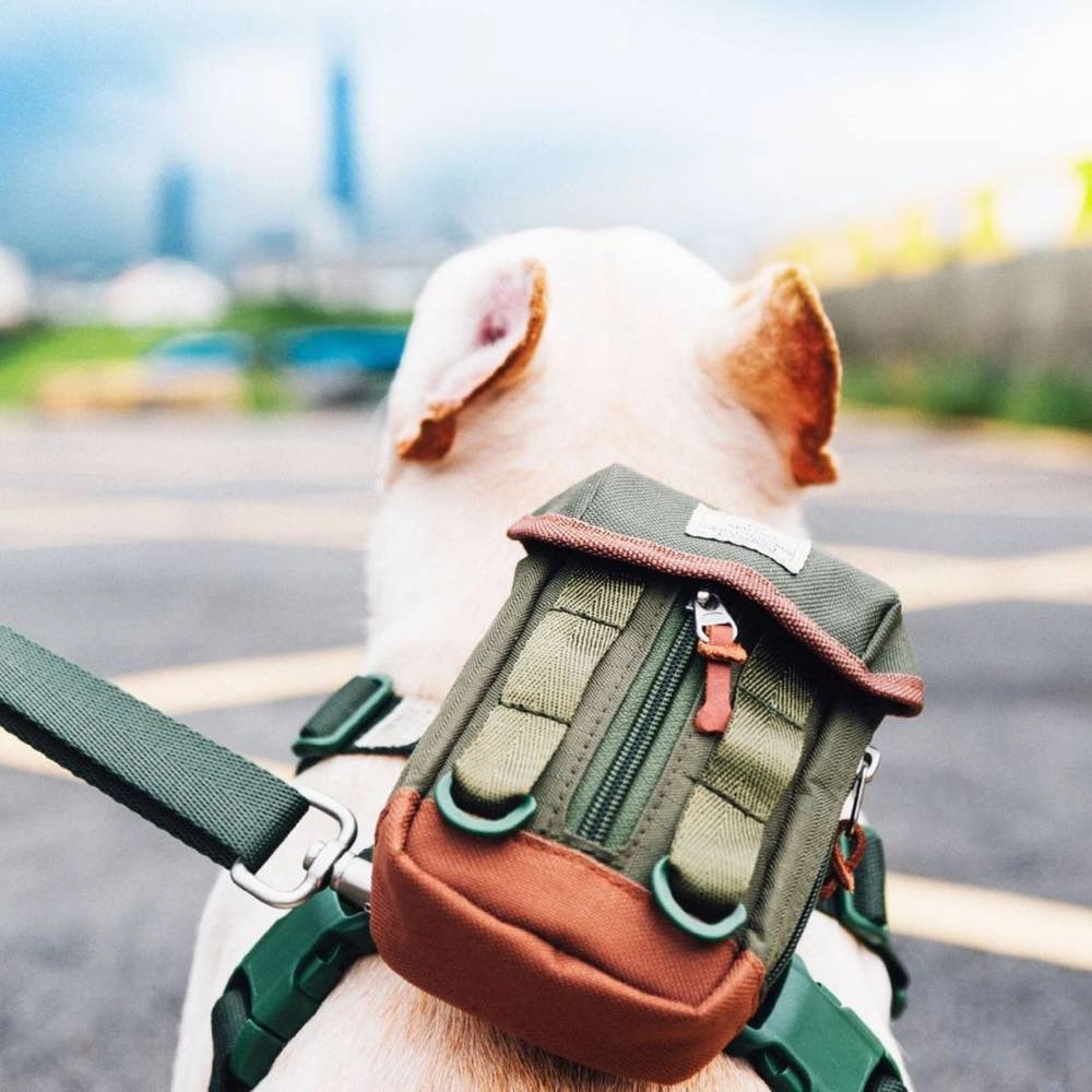 Sputnik Clean Bag Multi-Function Dog Poop Bag Dispenser (Green)