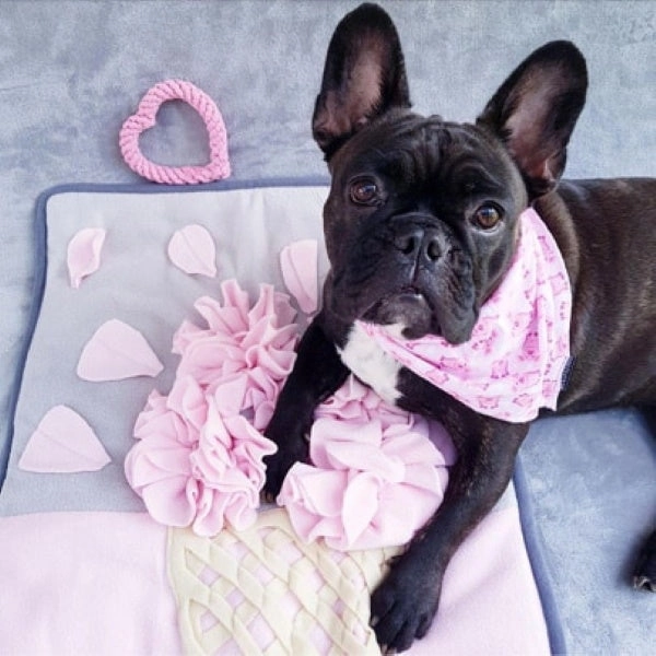 Strawberry Ice Cream Cone Snuffle Mat
