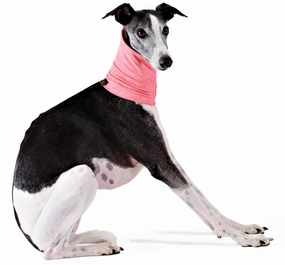 Sun Shield Snood for Dogs and Cats performance harness,agility dog vest,athletic dog gear