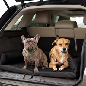 SUV Dog Bed treat storage jar,dog treat container,pet snack jar