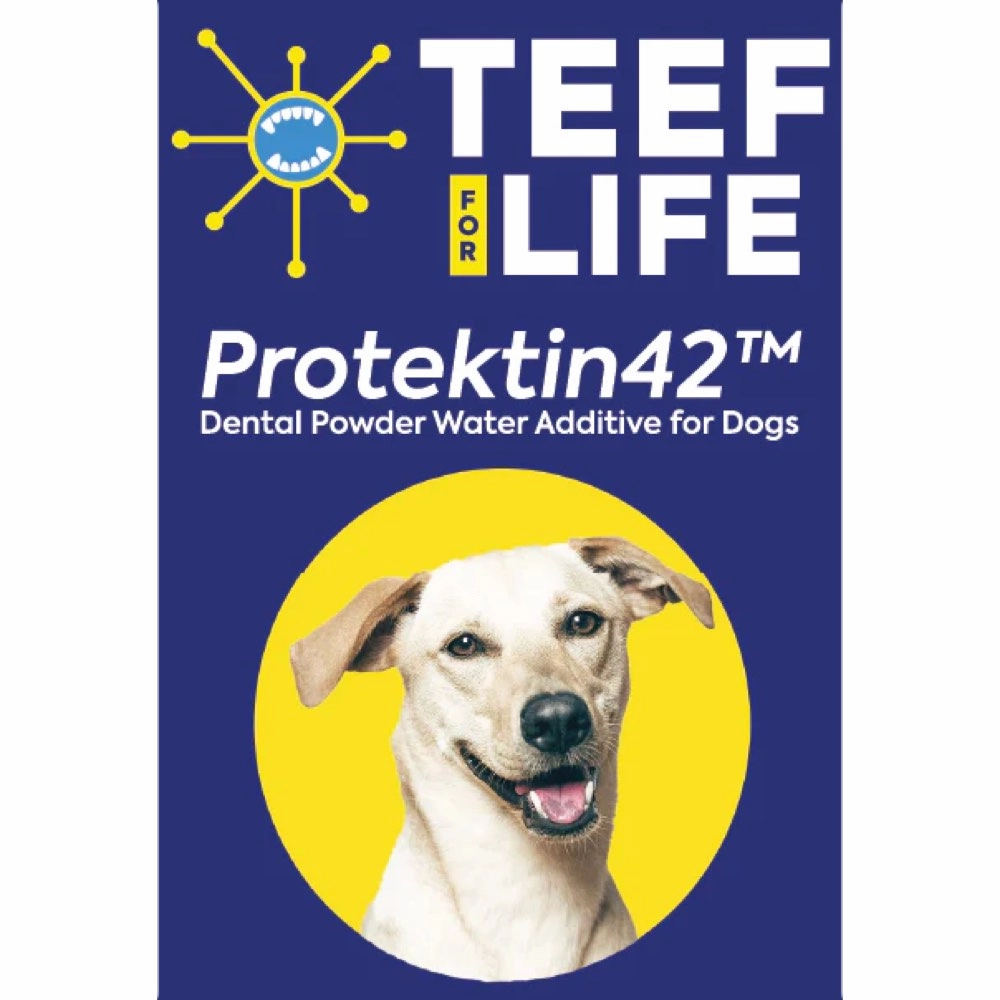 Teef! Protektin42 Prebiotic Dental Powder Dog Water Additive Refill 3g dog dental kit,pet toothbrush,dog oral care