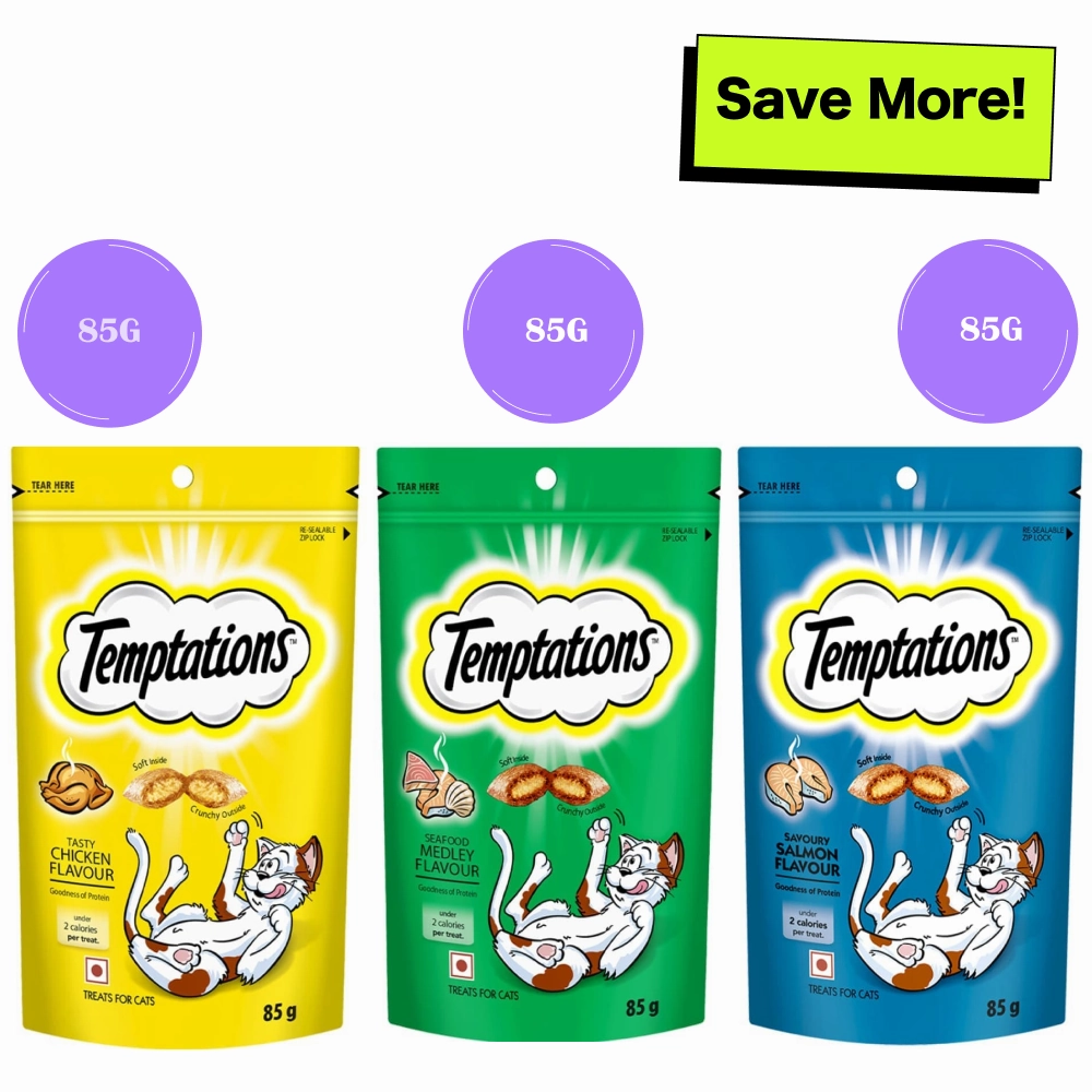 Temptations Savoury Salmon, Seafood Medley and Tasty Chicken Flavour Cat Treats Combo crunchy cat treat,crispy cat snack,dry cat treat