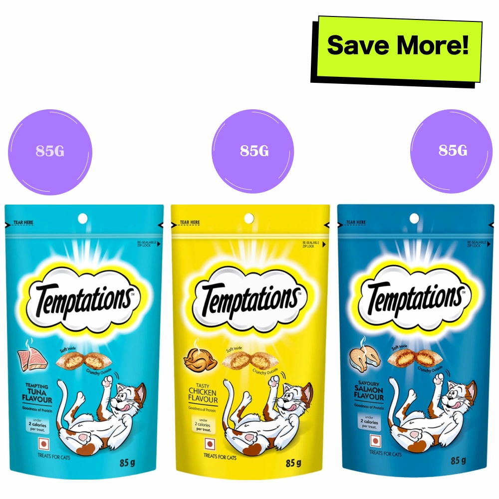 Temptations Savoury Salmon, Tasty Chicken and Tempting Tuna Flavour Cat Treats Combo crunchy cat treat,crispy cat snack,dry cat treat