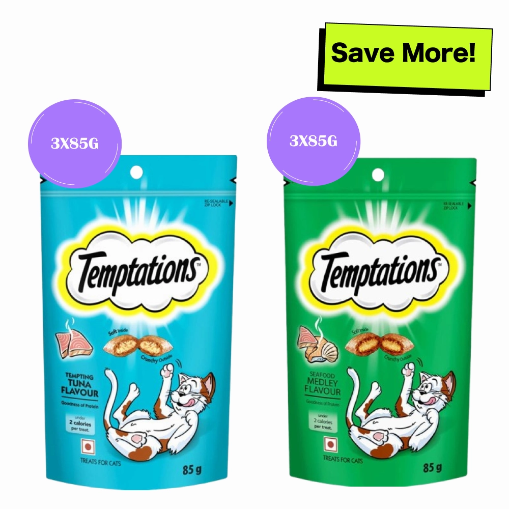 Temptations Tempting Tuna and Savoury Salmon Flavor Cat Treats Combo crunchy cat treat,crispy cat snack,dry cat treat